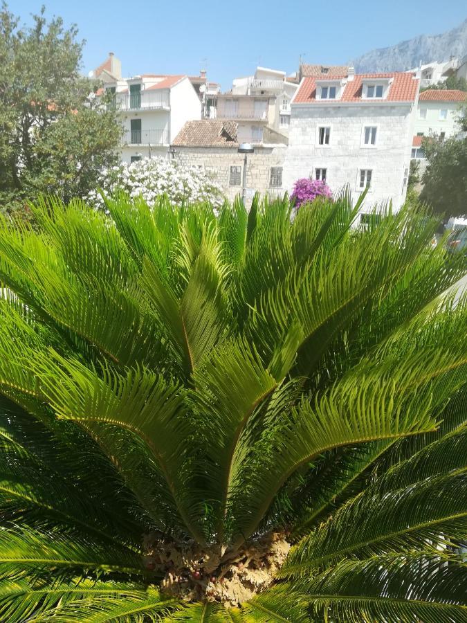 Apartmani Kike Makarska Exterior photo