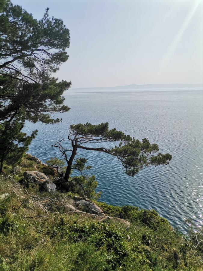 Apartmani Kike Makarska Exterior photo